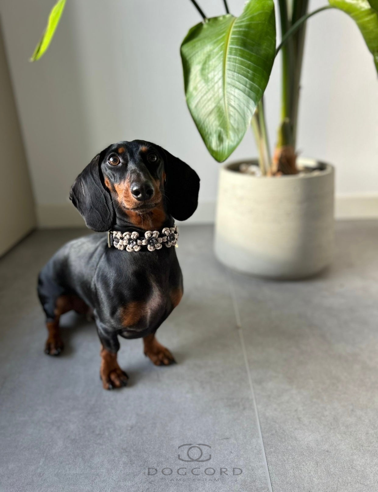 Bloemen halsband